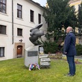 Sokol perex
