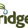 Bridge 2020 logo