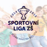 sportovní liga