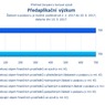 Předaplikační výzkum.png