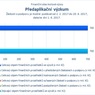 Předaplikační výzkum_06.jpg