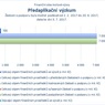 Předaplikační výzkum_07.jpg