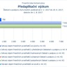 Předaplikační výzkum.jpg