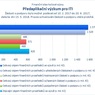 Předaplikační výzkum pro ITI_.jpg