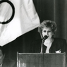 NFVC_1990_MOV.JPG