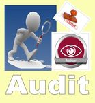 audit.jpg